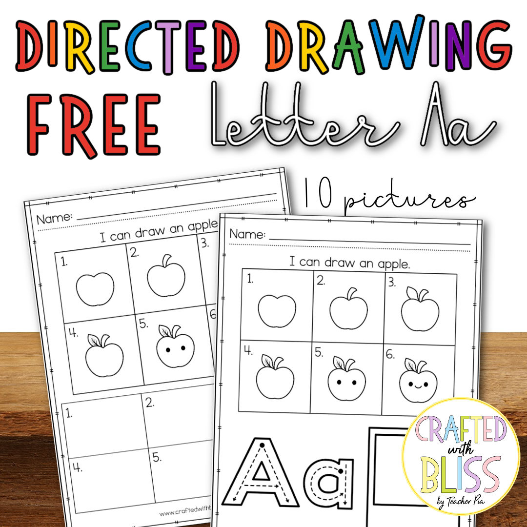 Drawing and Sorting 2D Shapes Activity